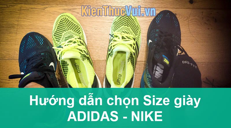 Cách chọn size giày Adidas, Nike chuẩn nhất