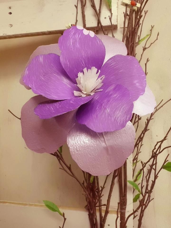 Hình ảnh hoa Mộc lan tím
