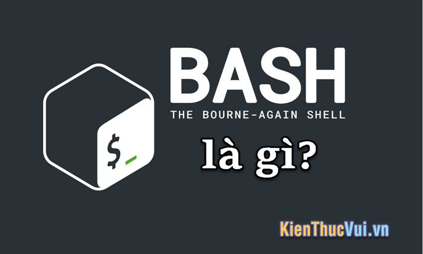 Bash là gì?