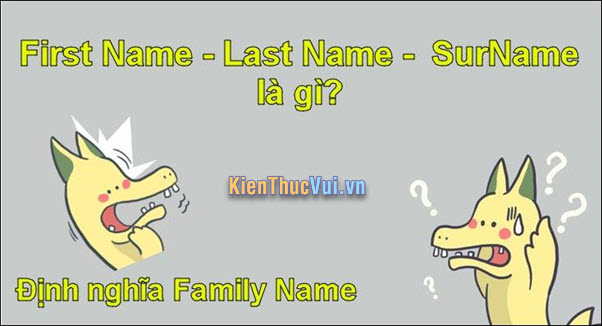 First Name, Last Name, Surname, Given Name, Family Name là gì?