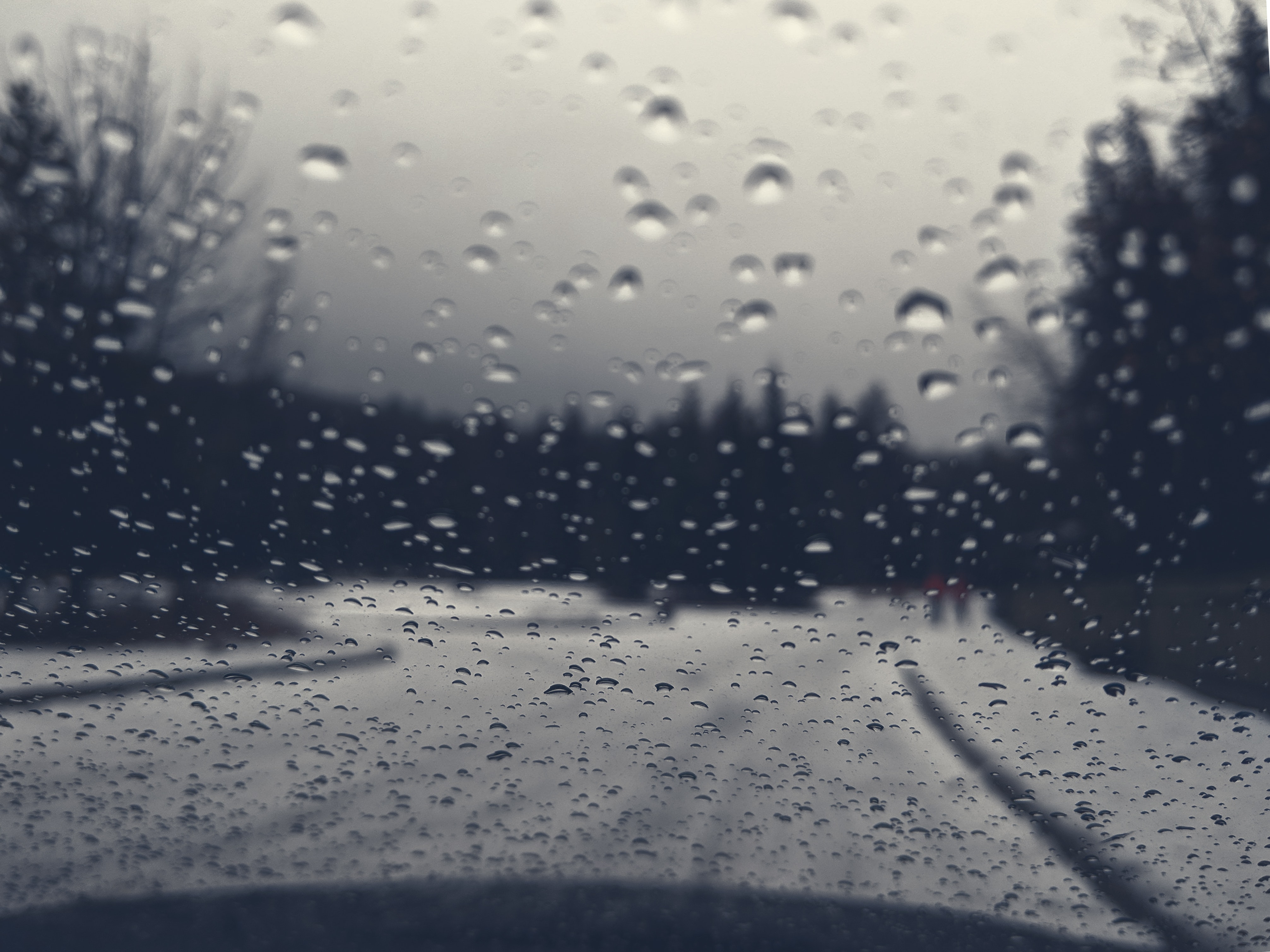 Thưởng thức hình ảnh mưa buồn đẹp sẽ mang lại cho bạn cảm giác đầy cảm xúc. Những giọt mưa rơi như những nỗi buồn của cuộc đời, nhưng lại tạo nên một vẻ đẹp thật sự đặc biệt. Hãy cùng chiêm ngưỡng hình ảnh mưa buồn đẹp để tràn đầy cảm hứng và sự yêu đời.