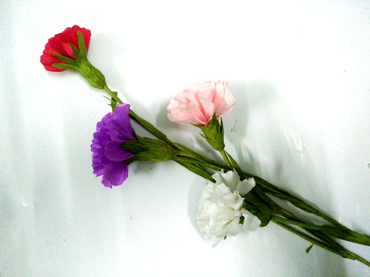 Hoa Cẩm Chướng