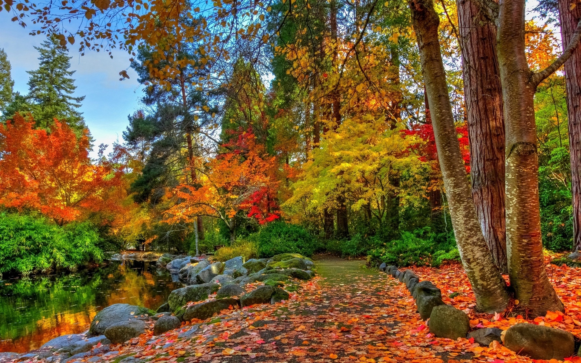 Hình ảnh phong cảnh lá mùa thu đẹp nhất cho điện thoại di động