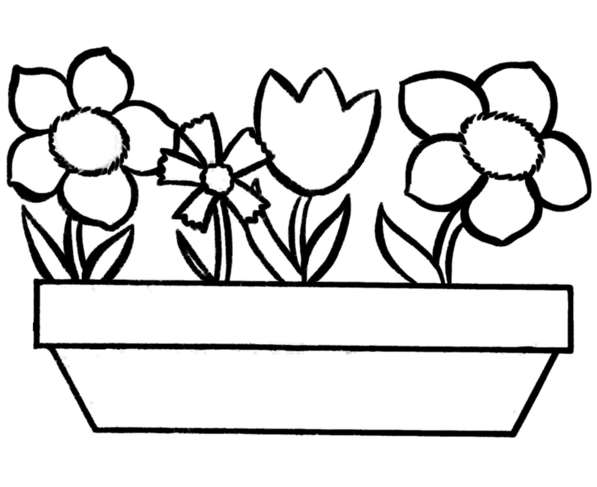 Coloring pictures of beautiful flowers