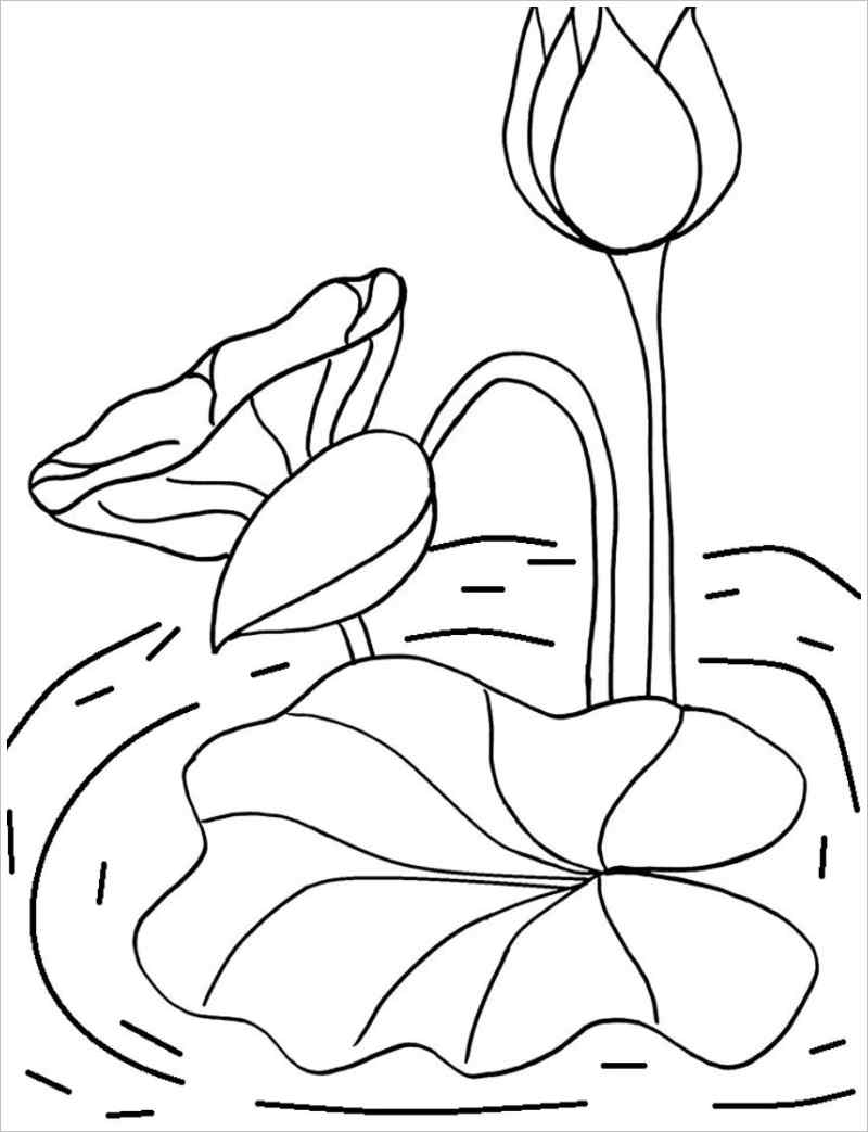 Beautiful lotus coloring page