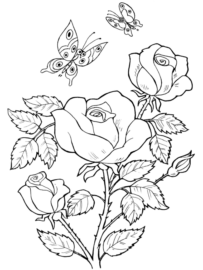The most beautiful butterfly coloring page