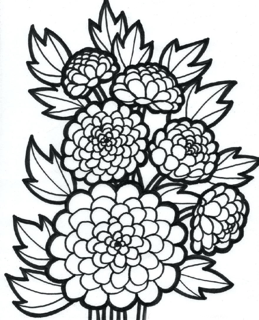 Chrysanthemum coloring page