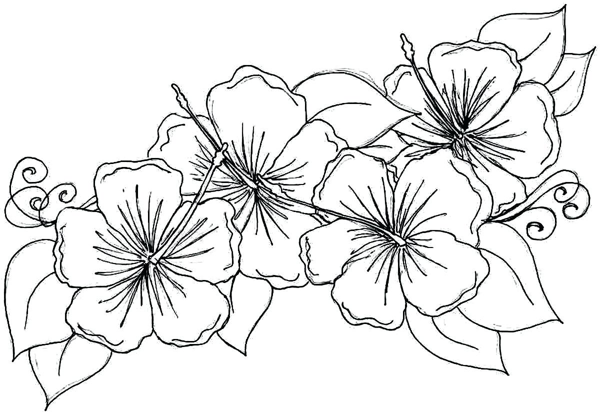 The simplest and most beautiful flower coloring page