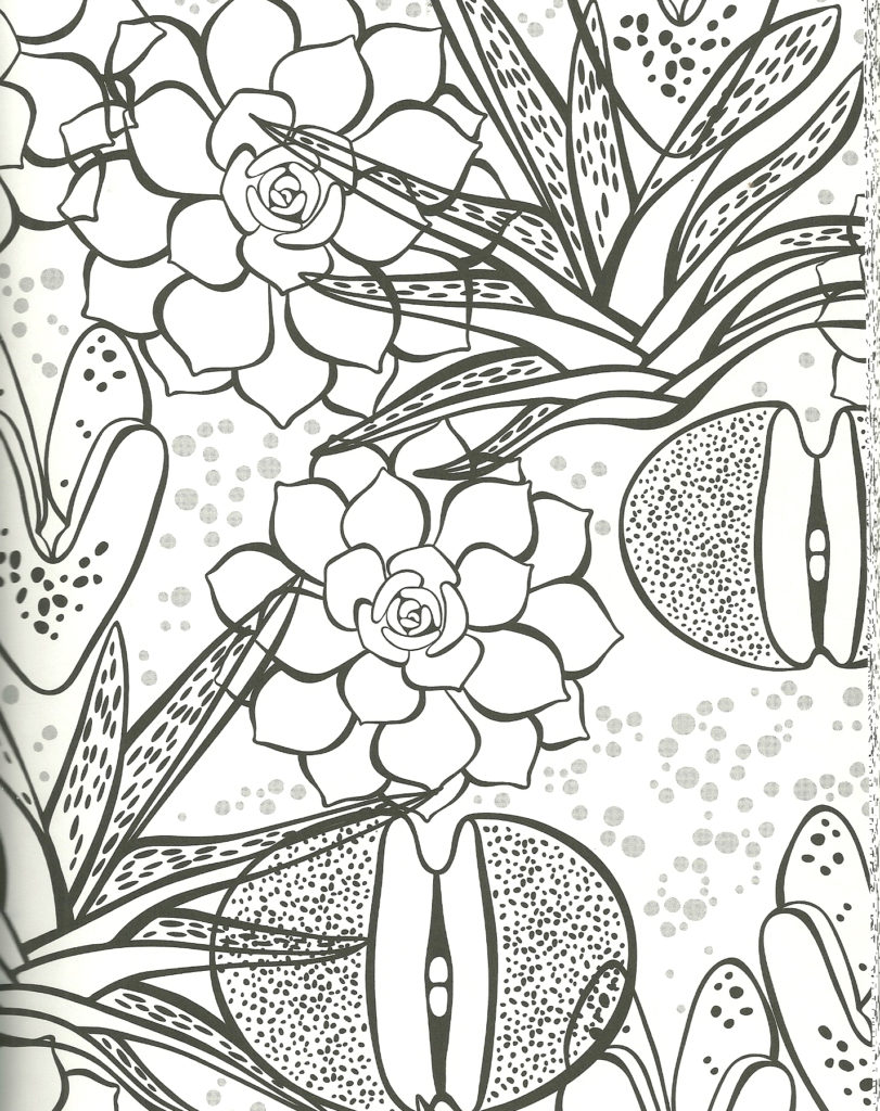 The most beautiful flowers and leaves coloring pages for kids