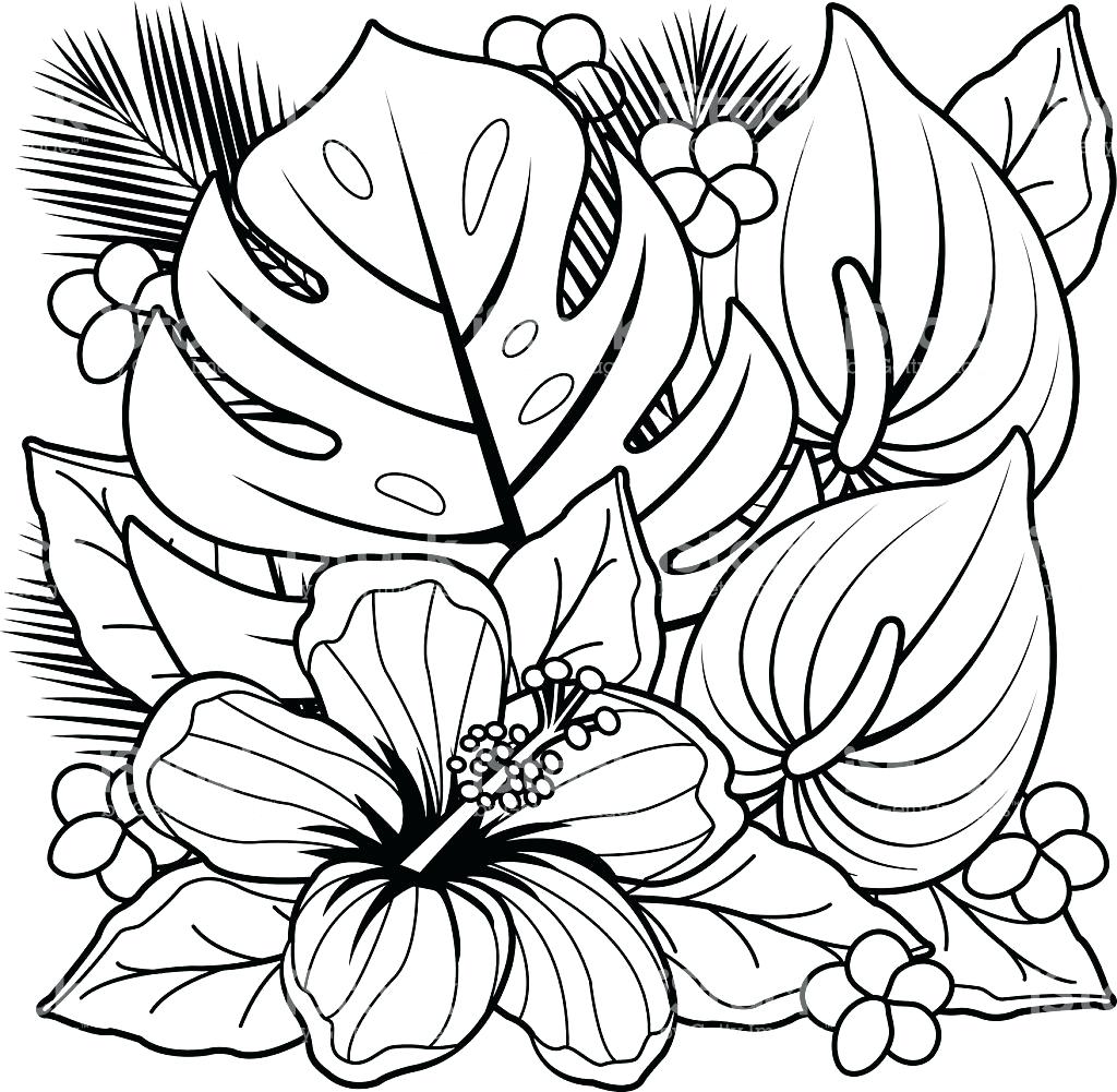 Beautiful flowers and leaves coloring page