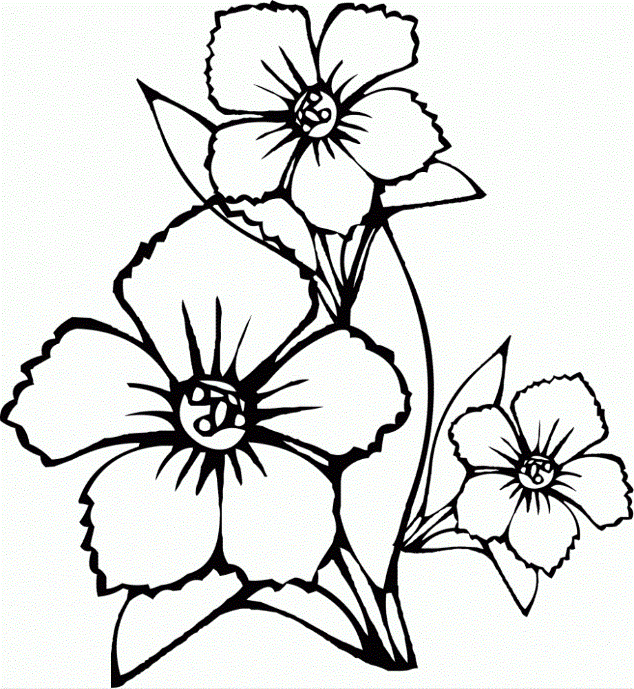 Coloring pictures of flowers for children to practice coloring