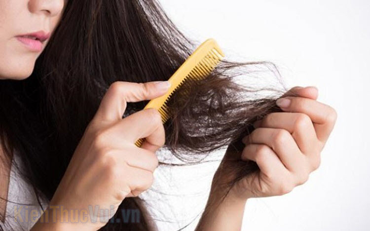 Những cách ngăn rụng tóc hiệu quả nhất