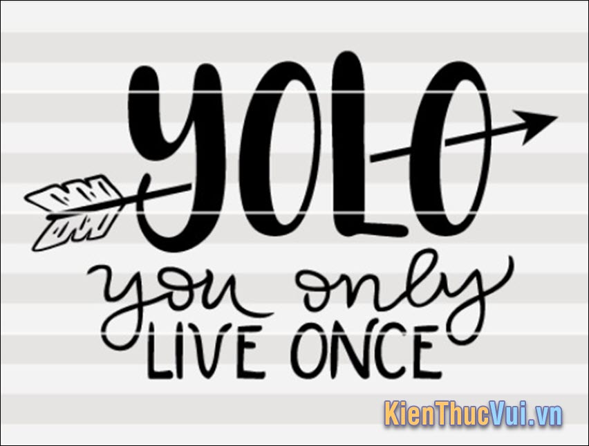 Yolo là từ viết tắt của You Only Live Once dịch sáng nghĩa tiếng Việt là bạn chỉ sống một lần