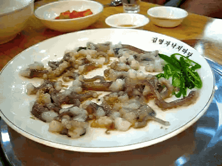 Sannakji (Bạch tuộc sống) – Hàn Quốc