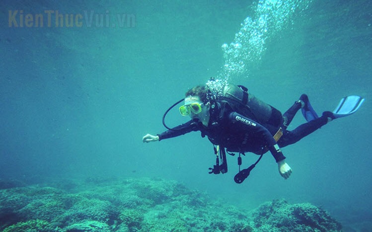 Hình ảnh lặn biển Nha Trang đẹp