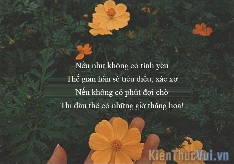 Không đề 2 - Nguyễn Thị Thắm