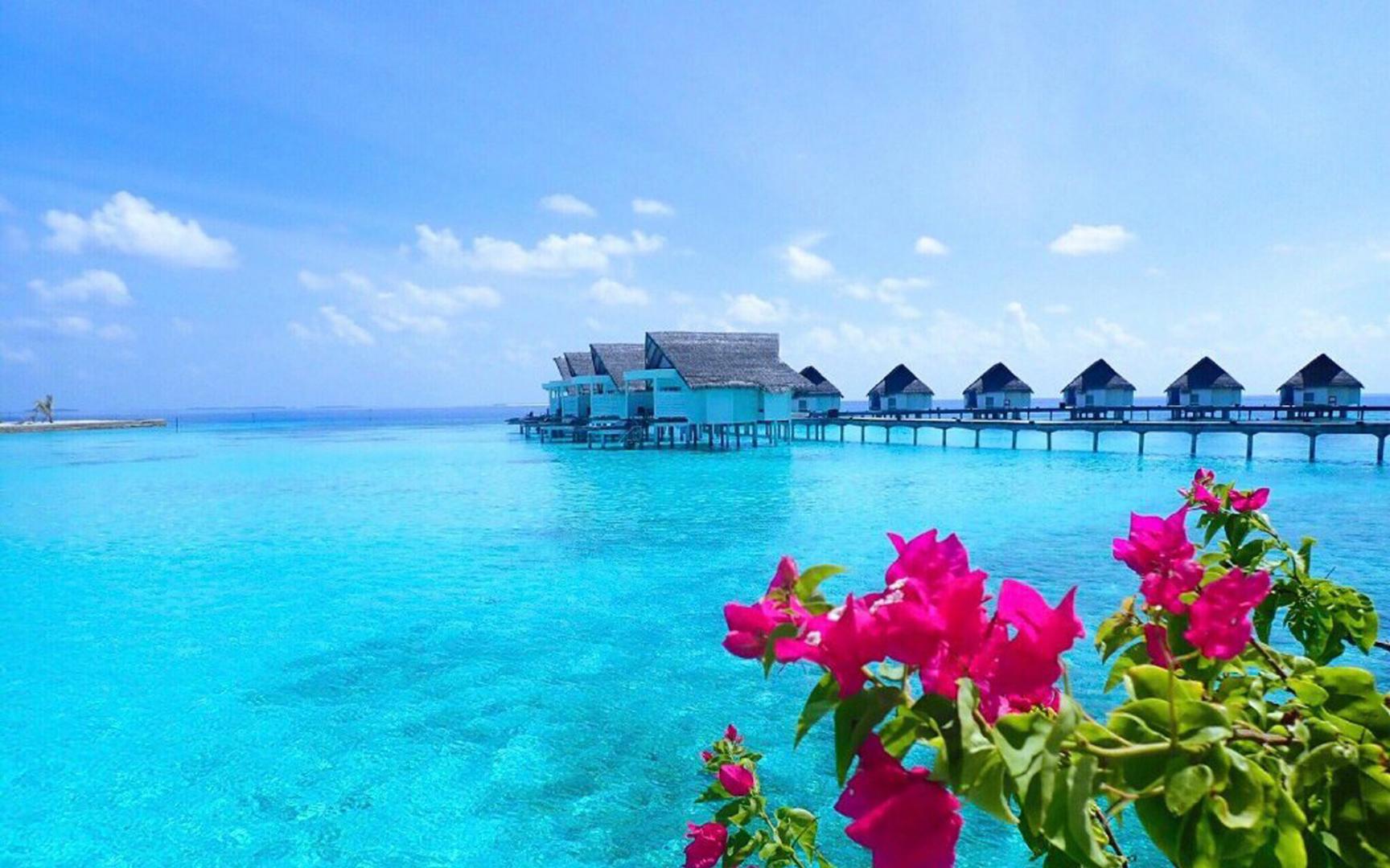 Ảnh bãi biển Maldives đẹp lung linh