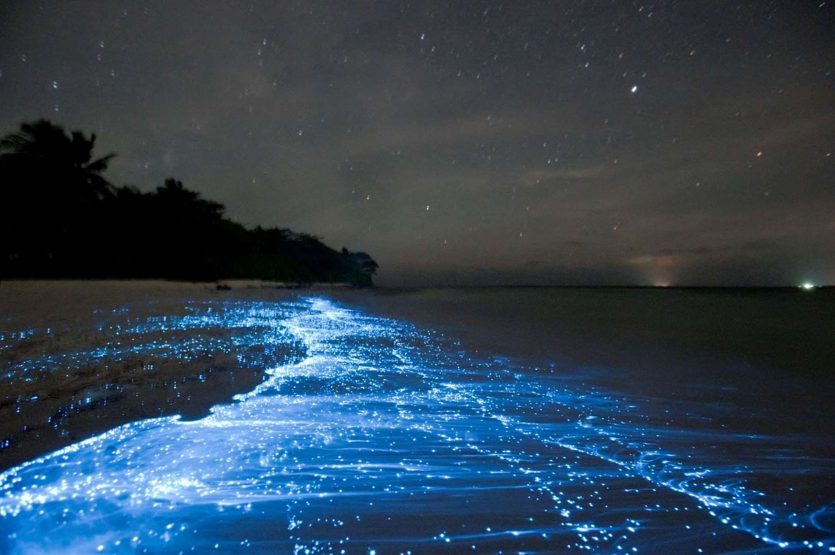 Ảnh bãi biển phát sáng ở Maldves