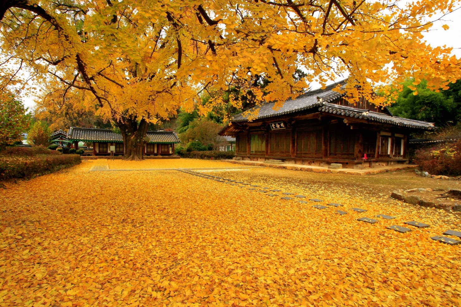 Ảnh đẹp về mùa thu Hàn Quốc