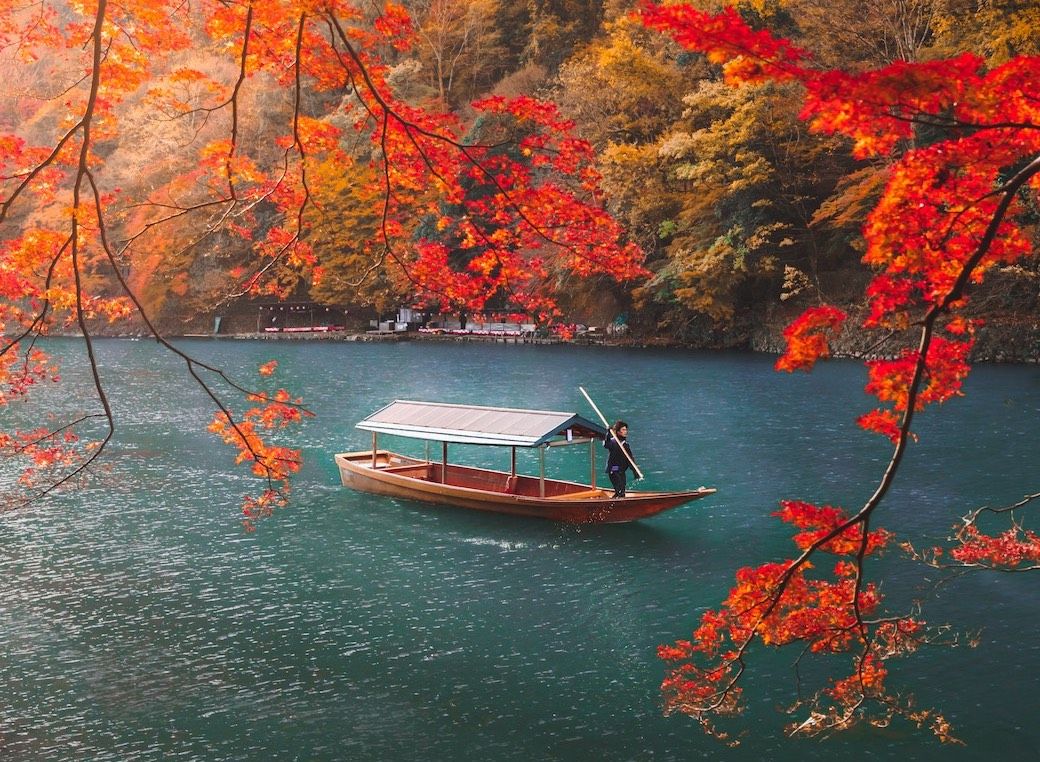 Ảnh mùa thu ở Nhật Bản đẹp như tranh