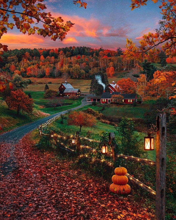 Hình ảnh mùa thu đẹp mê hồn