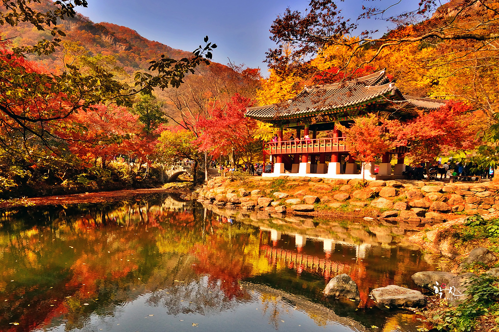 Hình ảnh mùa thu Hàn Quốc cực đẹp