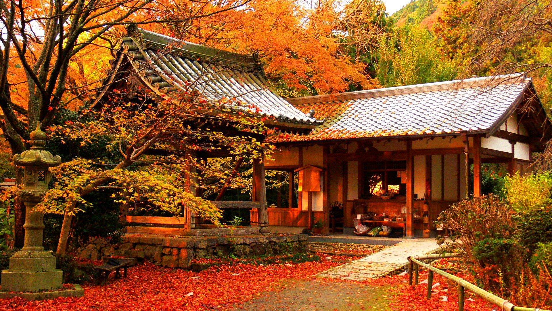 Hình ảnh tuyệt đẹp trong lễ hội mùa thu Nhật Bản