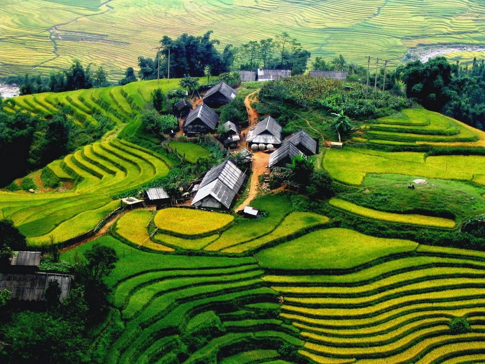 Ảnh đẹp mê hồn về phong cảnh thiên nhiên Việt Nam