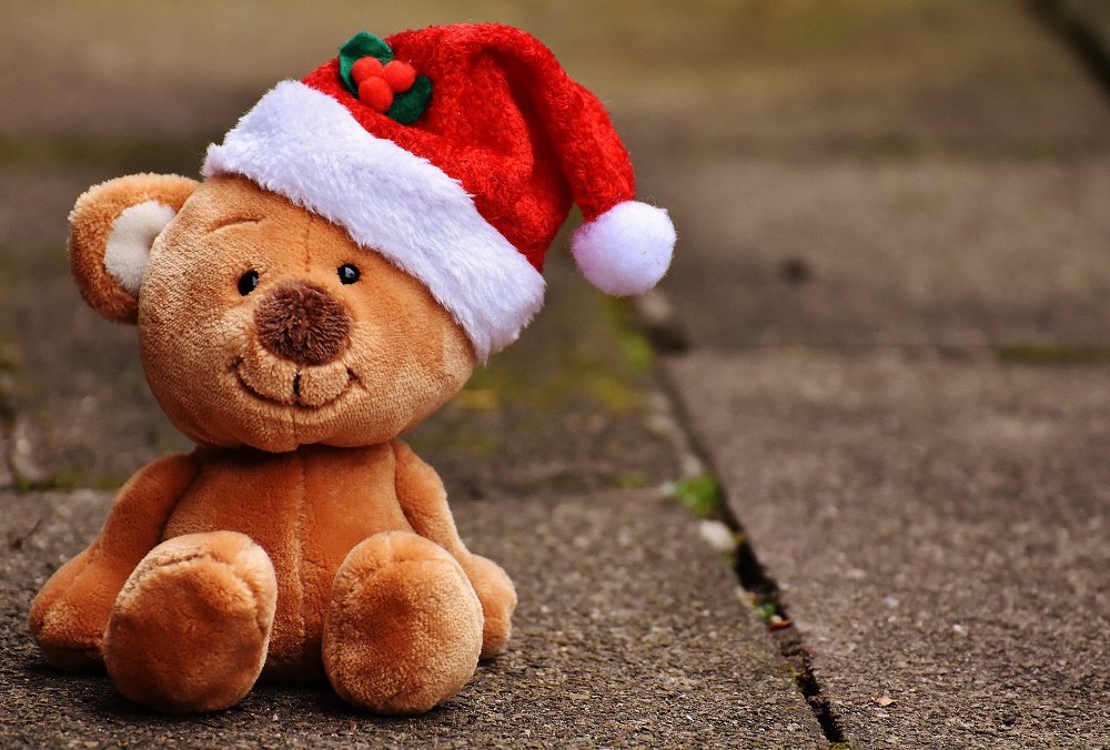 Ảnh gấu bông Teddy đội mũ Noel