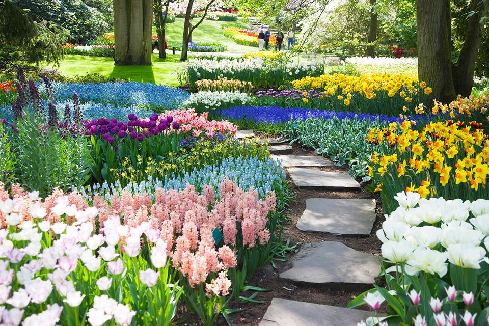 Hình ảnh vườn hoa đẹp nhất thế giới