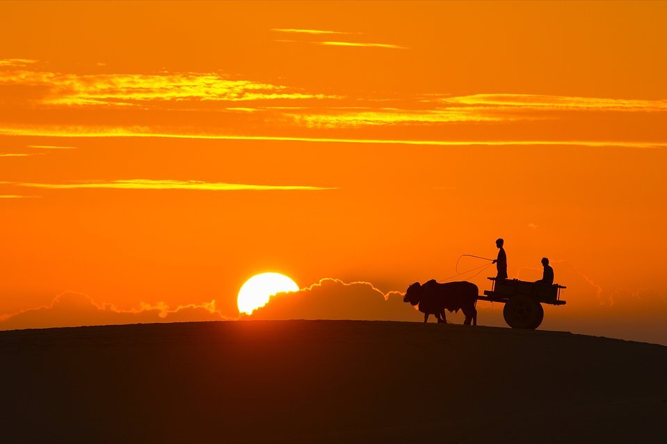 Hình ảnh mặt trời mọc trên đồi cát Việt Nam