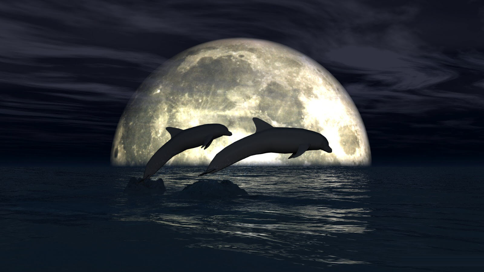 Hình nền 3D hai chú cá heo đùa nghịch dưới ánh trăng