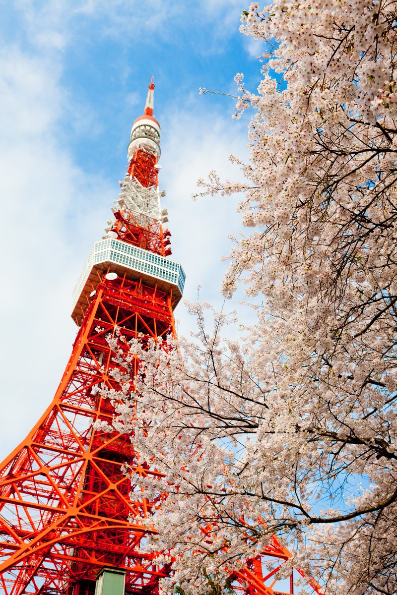 Ảnh tháp Tokyo một góc khác