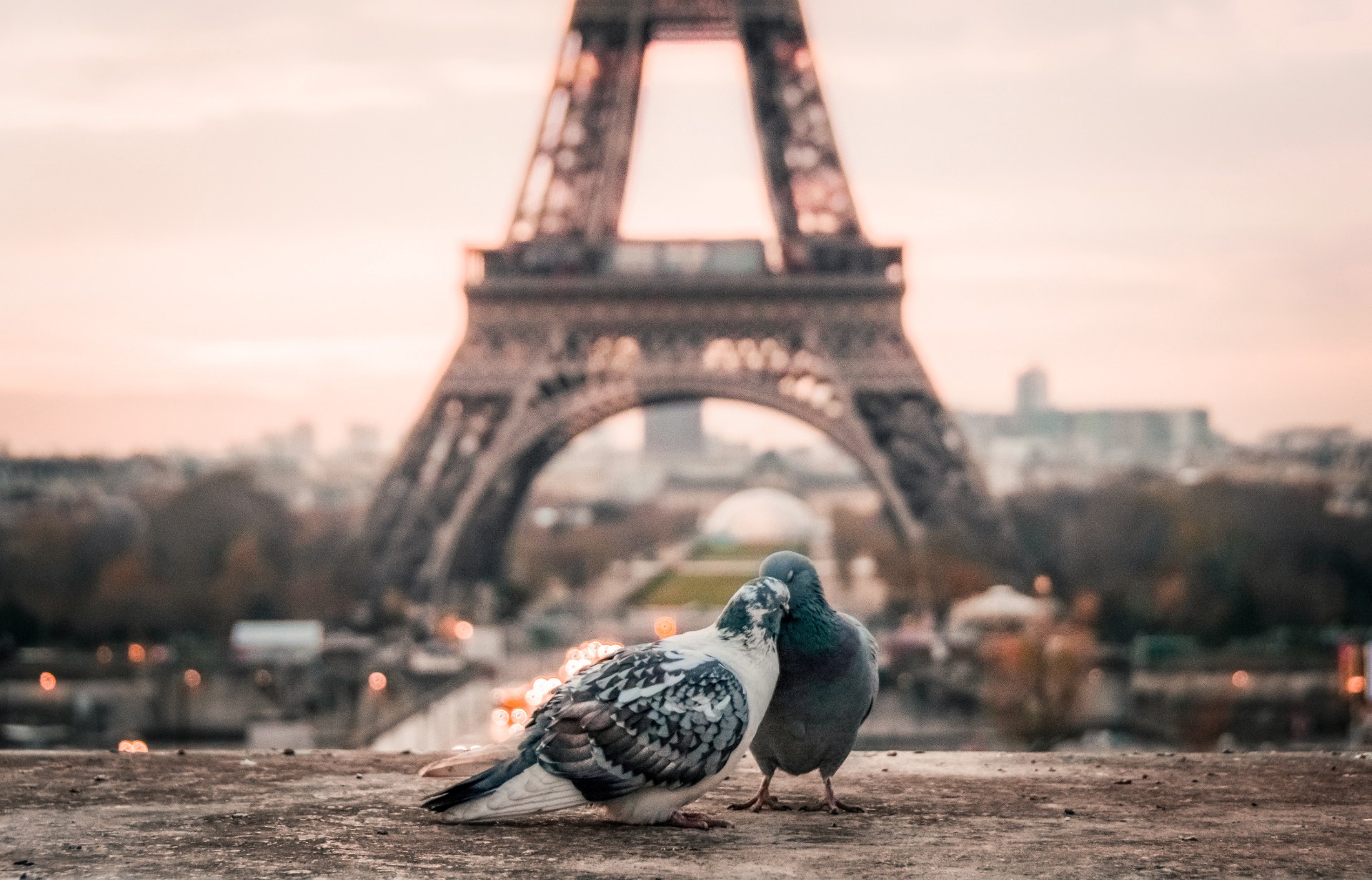 Hình ảnh đẹp lãng mạn về tháp Eiffel