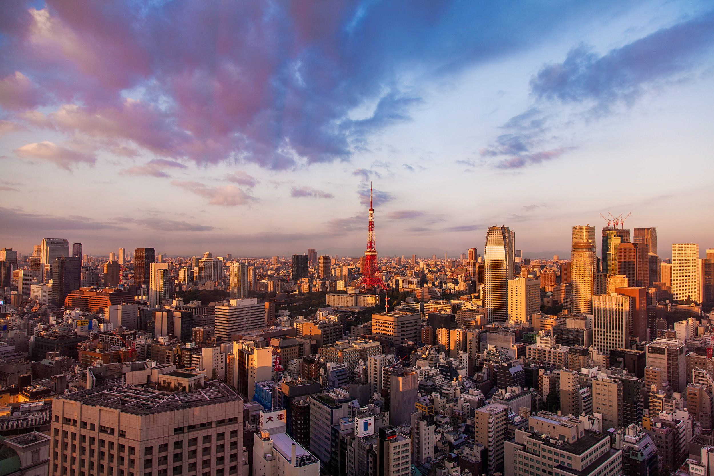 Hình ảnh tháp Tokyo buổi sớm