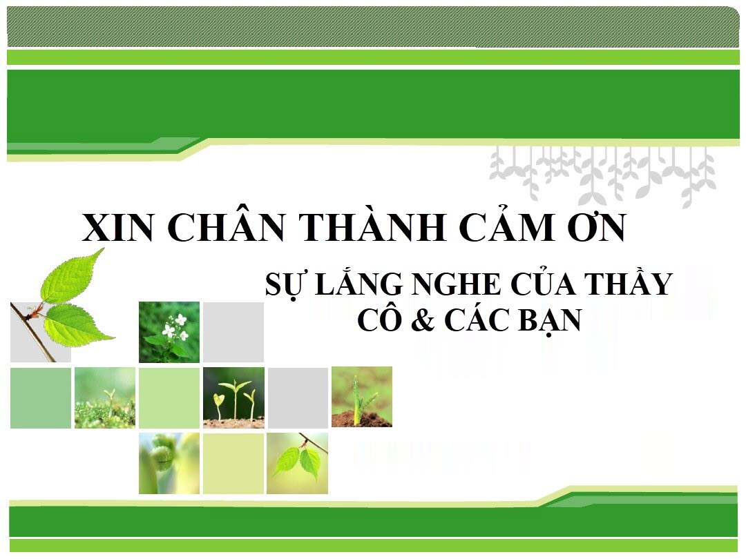 Ảnh cảm ơn tiếp tục lắng tai rất rất hoặc, rất rất đẹp