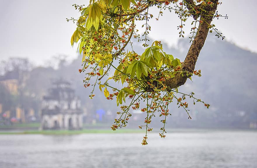 Ảnh Hồ Gươm mùa xuân