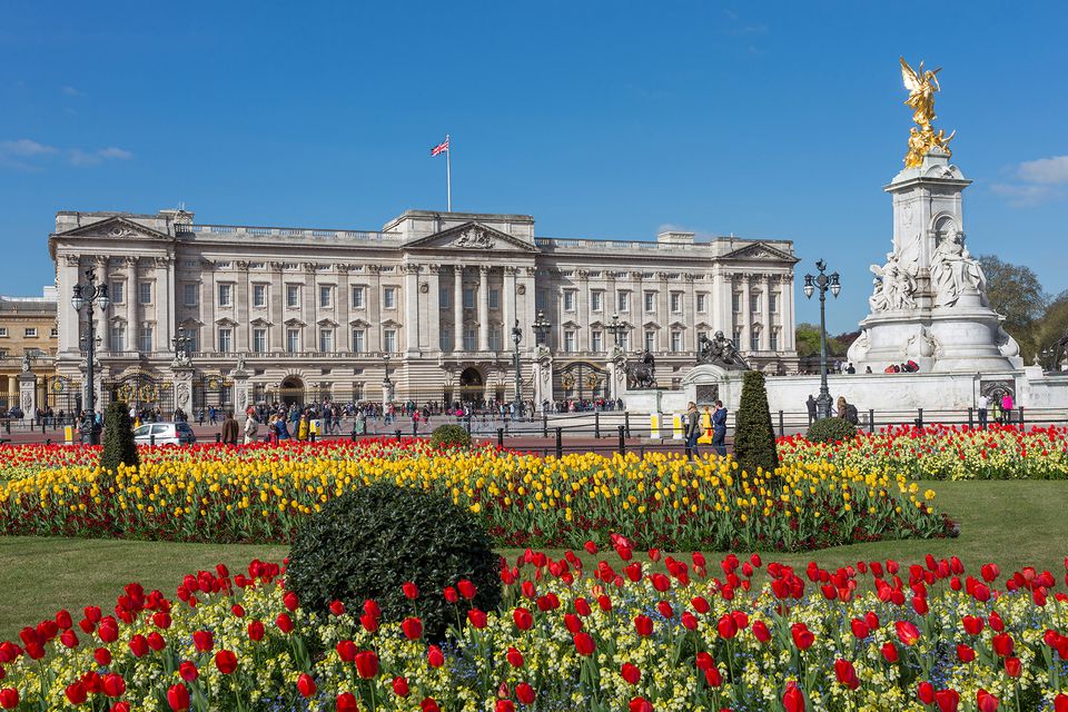 Ảnh khu vườn tại cung điện Buckingham