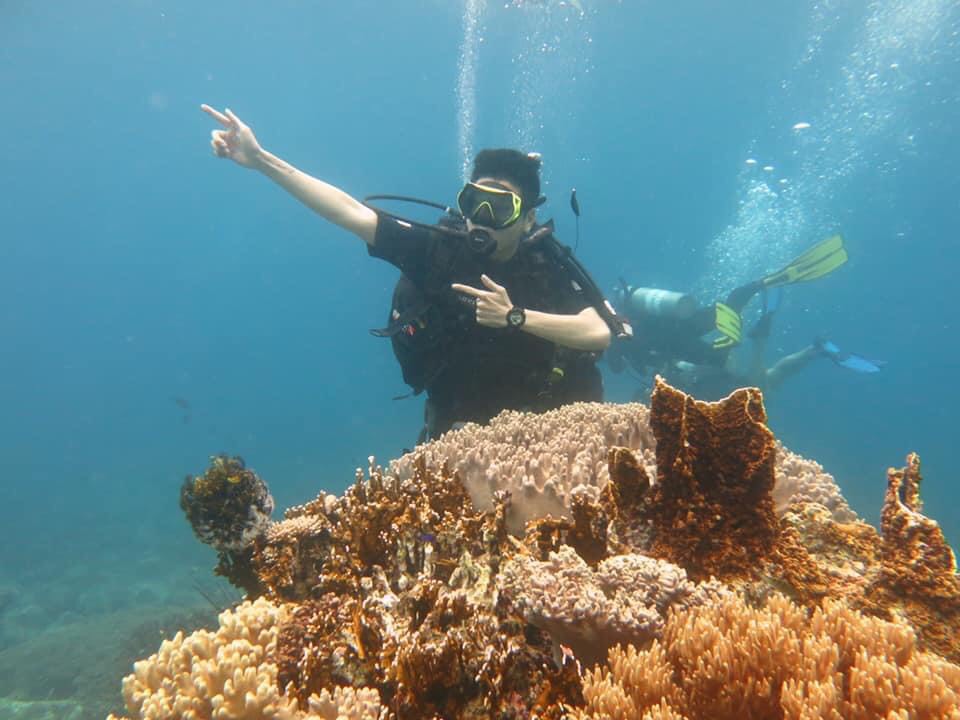 Ảnh ngắm san hô tại biển Nha Trang cực đẹp