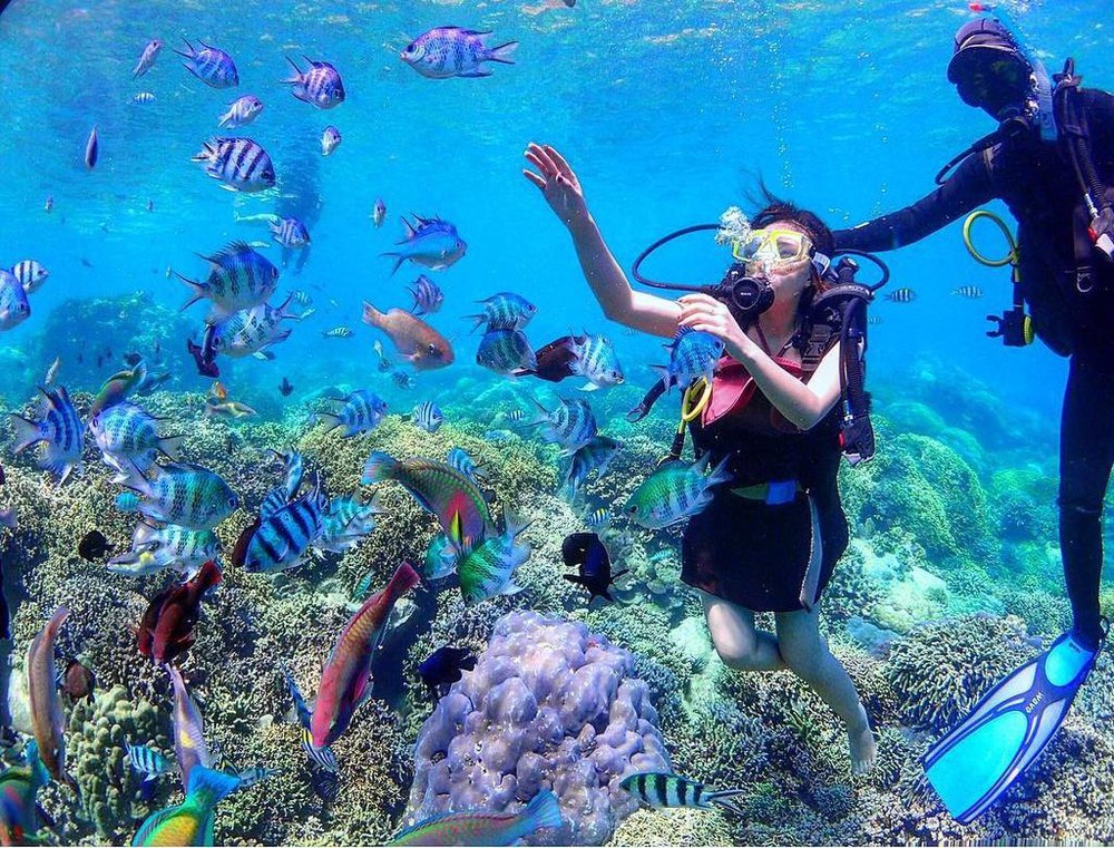 Điểm lặn ngắm san hô hút du khách ở Nha Trang