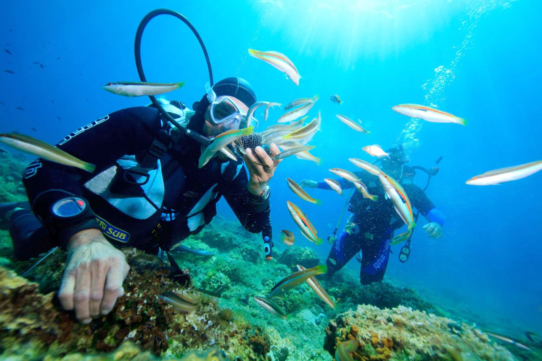 Diving Tour Nha Trang