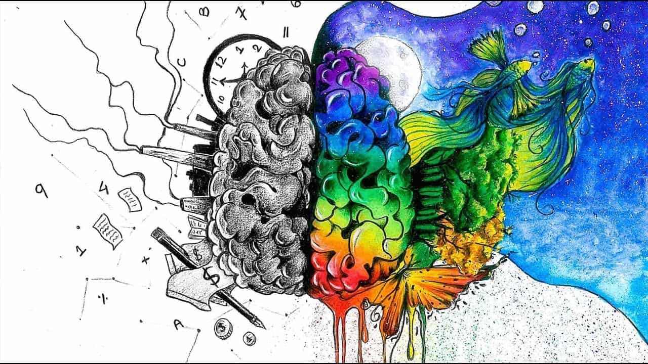 Hình ảnh đẹp độc đáo về hai bán cầu não