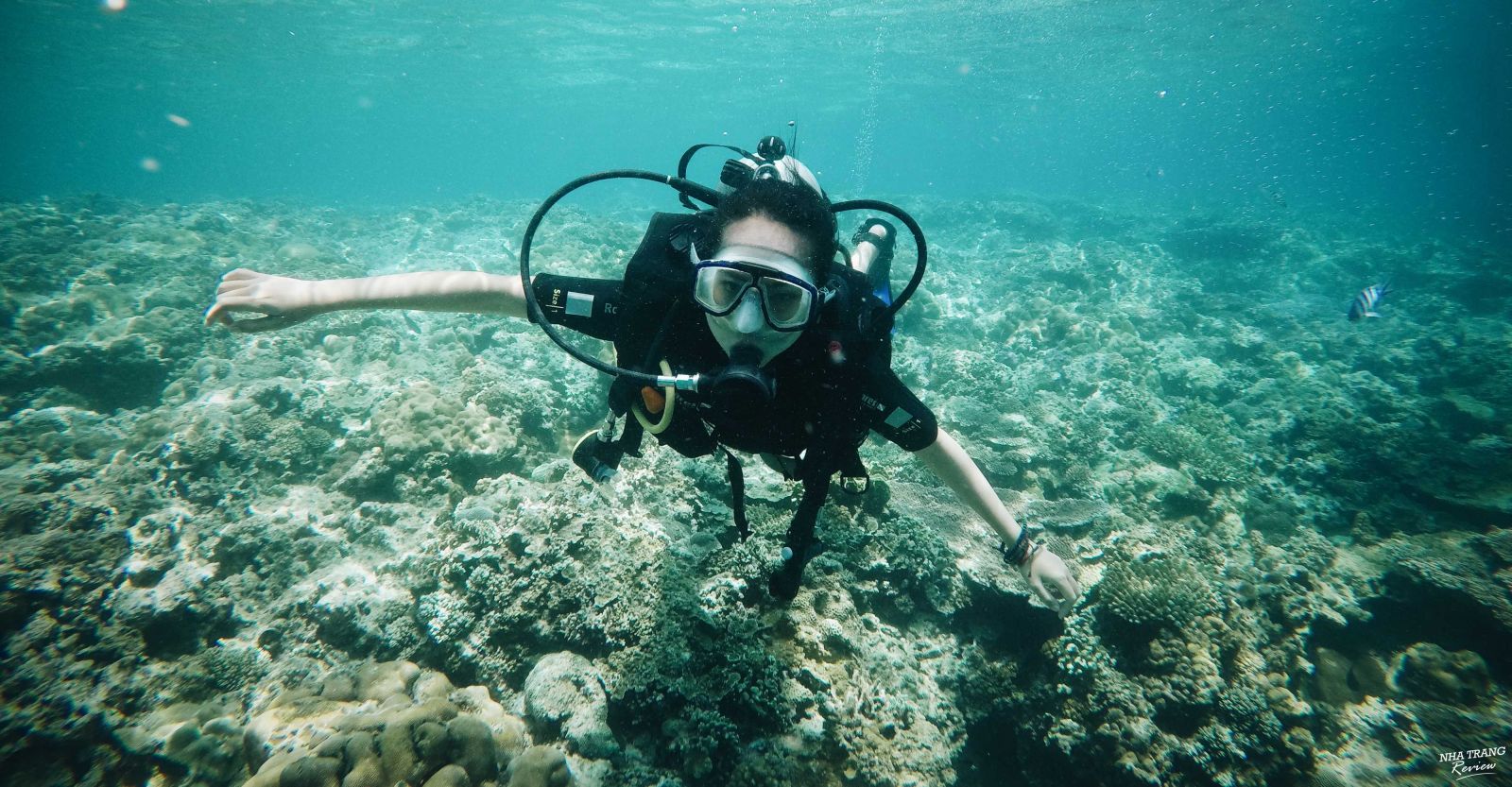 Hình ảnh du khách lặn dưới biển ở Nha Trang