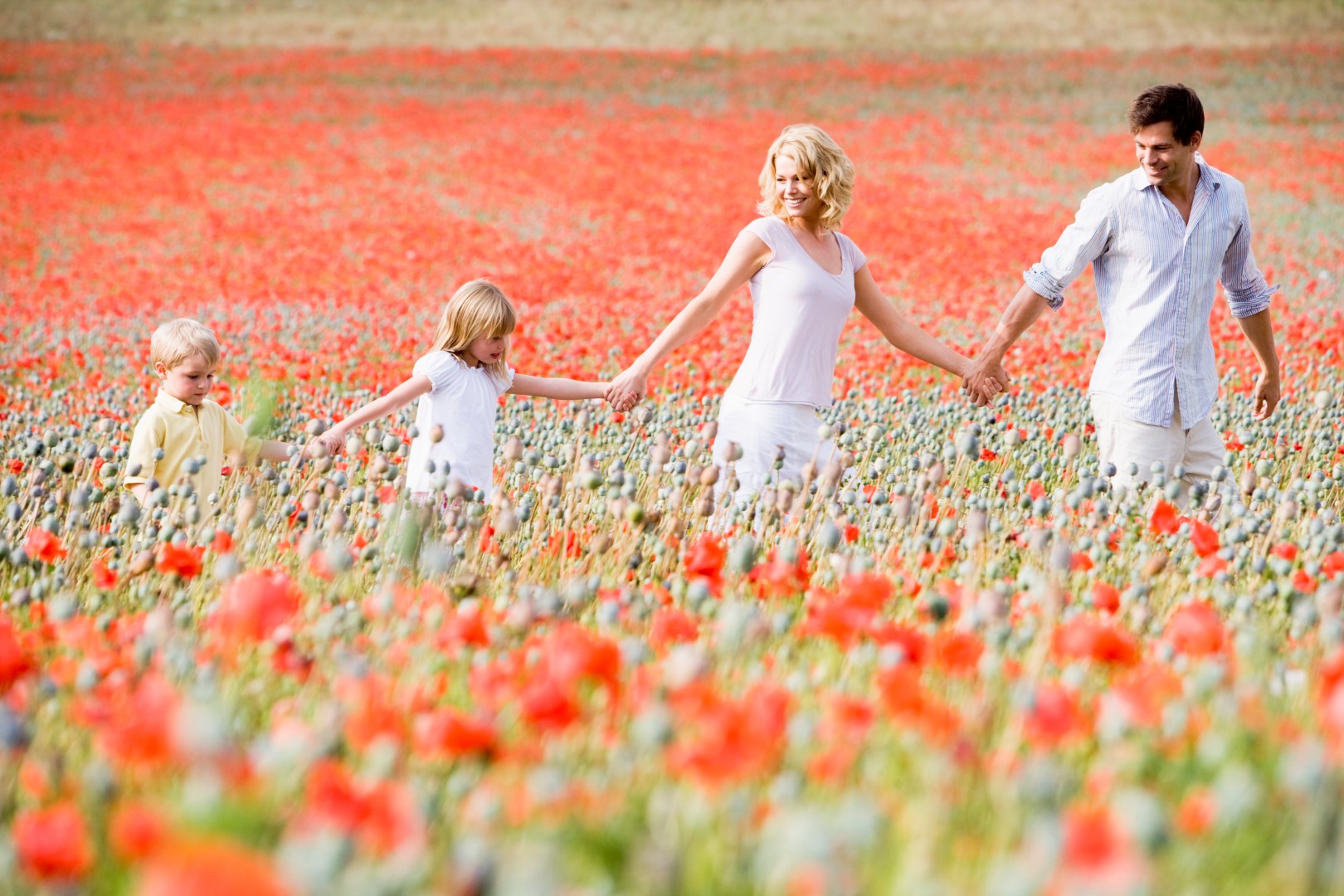 Hình ảnh gia đình giữa cánh đồng hoa
