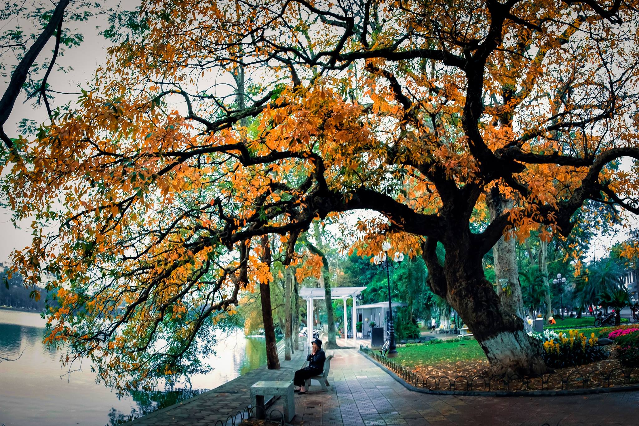 Hình ảnh Hồ Gươm quyến rũ trong hương sắc mùa thu