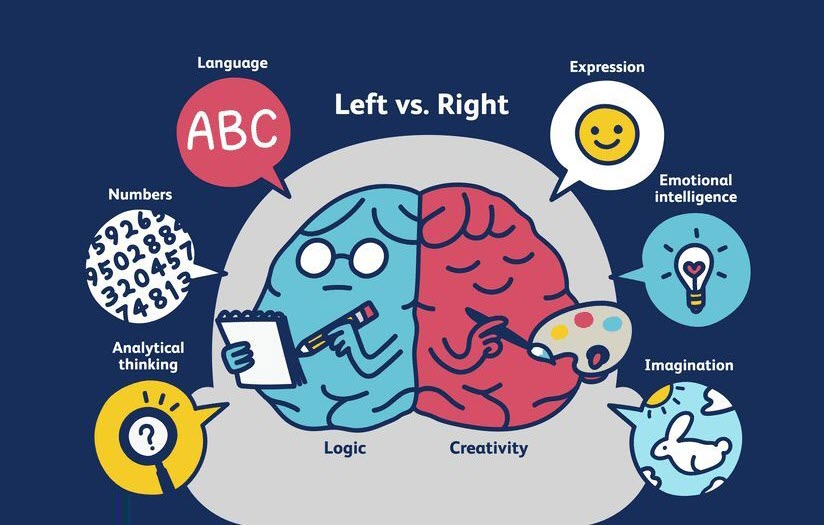 Right vs left side of brain images