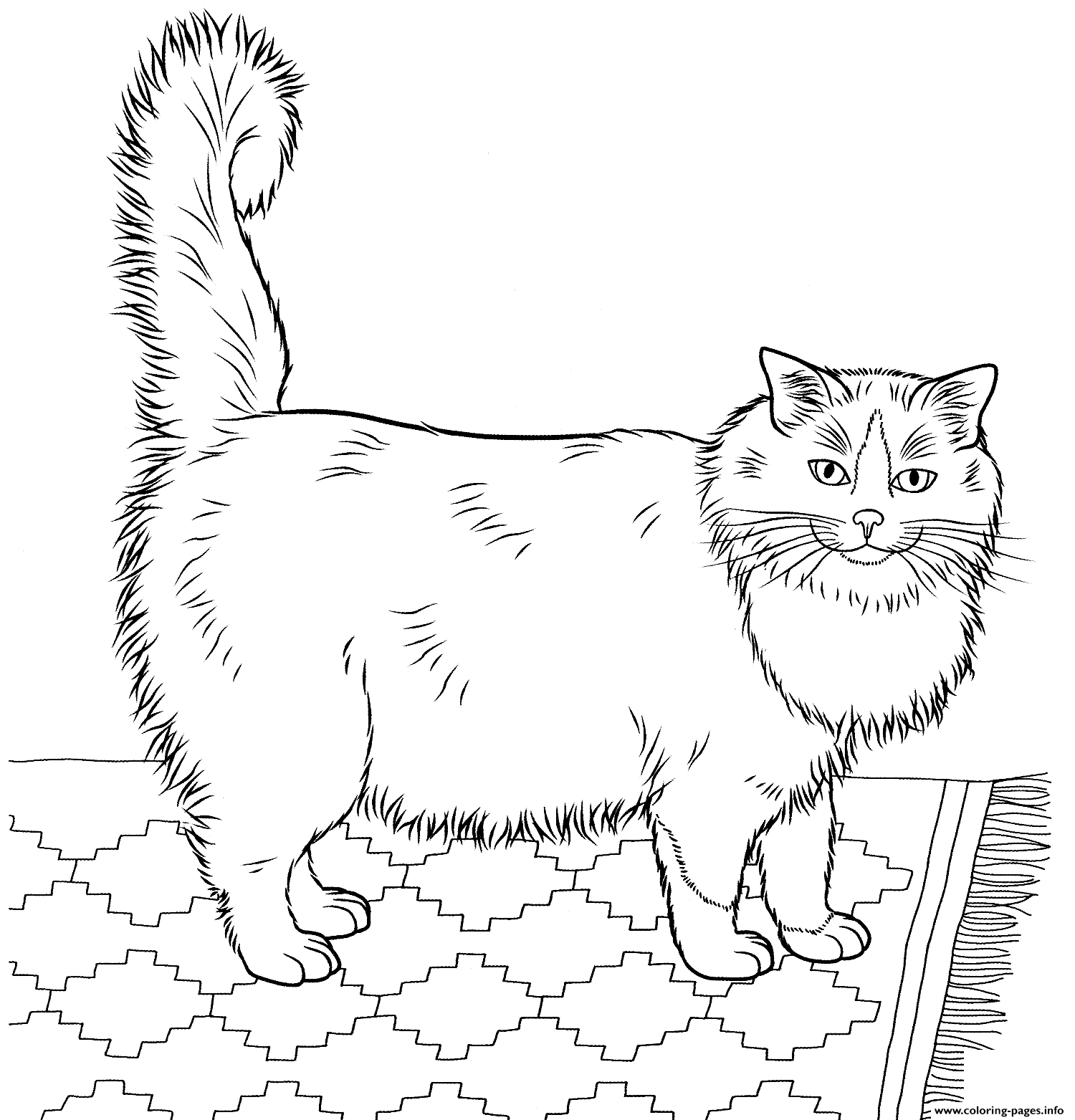 Mẫu tranh tô màu con mèo béo đáng yêu