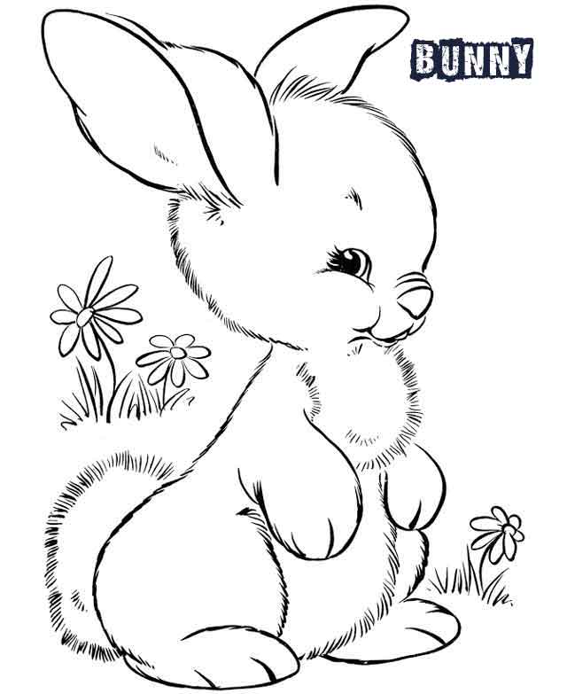Tranh tô màu con thỏ cực dễ thương