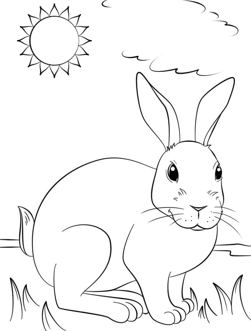 Tranh tô màu con thỏ đang tắm nắng