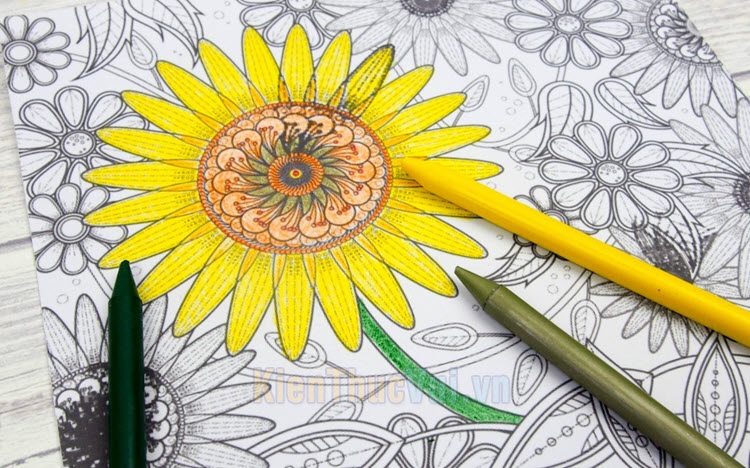 10 mẫu tranh tô màu hoa hướng dương cho trẻ độ tuổi mầm non